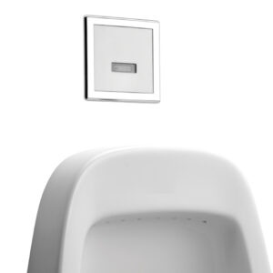 ELECTRONIC FLUSHING SYSTEM