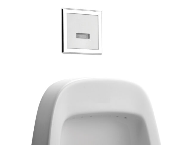 ELECTRONIC FLUSHING SYSTEM