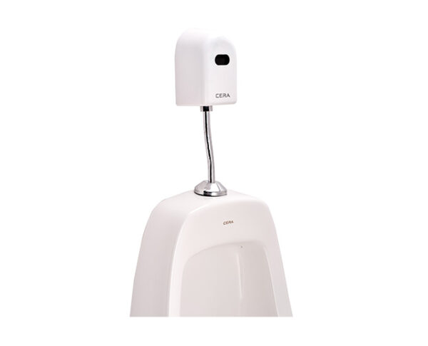 ELECTRONIC FLUSHING SYSTEM