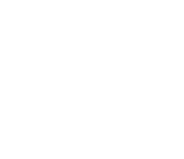 ELEGANCE - Image 4