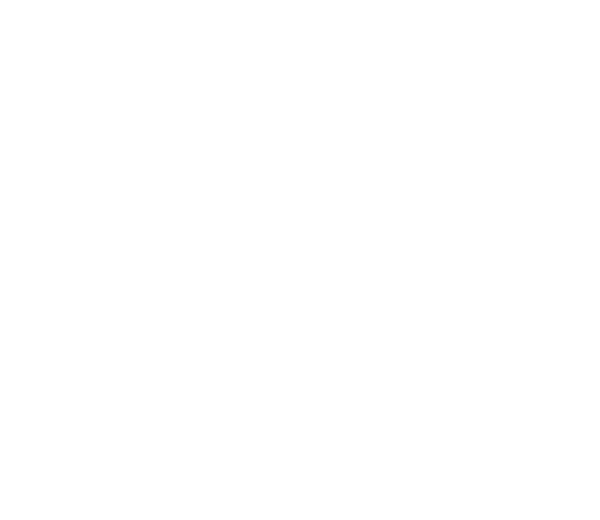 ELEGANCE - Image 5