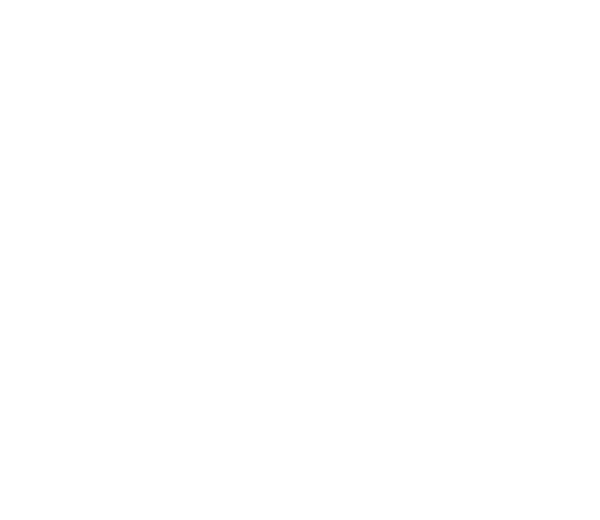 ELEGANCE - Image 2
