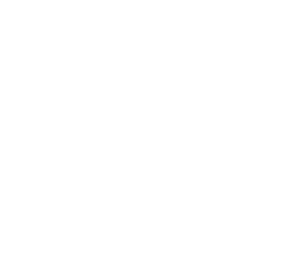 ELEGANCE MASTER - Image 2