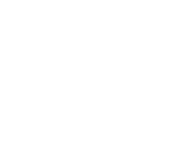 ELEGANCE - Image 6