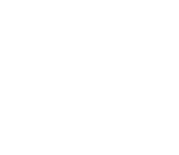 ELEGANCE - Image 8