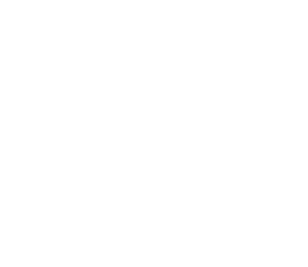 ELEGANCE - Image 7