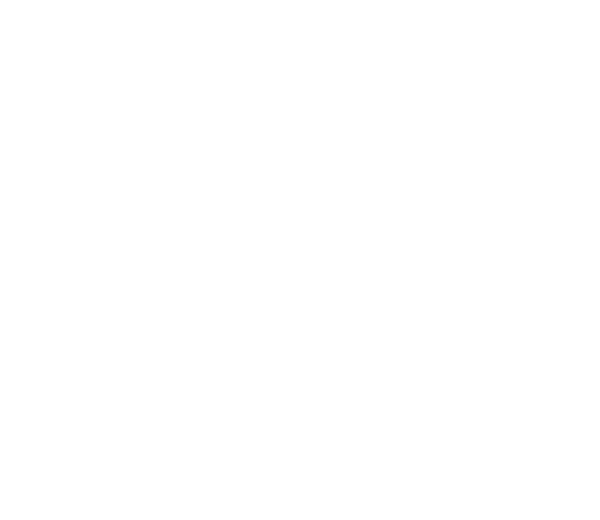 ELEGANCE DELUXE - Image 3