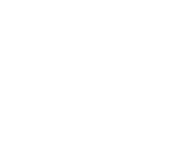 ELEGANCE DELUXE - Image 2