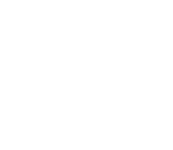 ELEGANT GLORY - Image 2