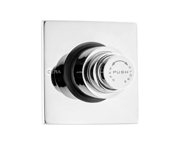 FLUSH VALVE - Image 2