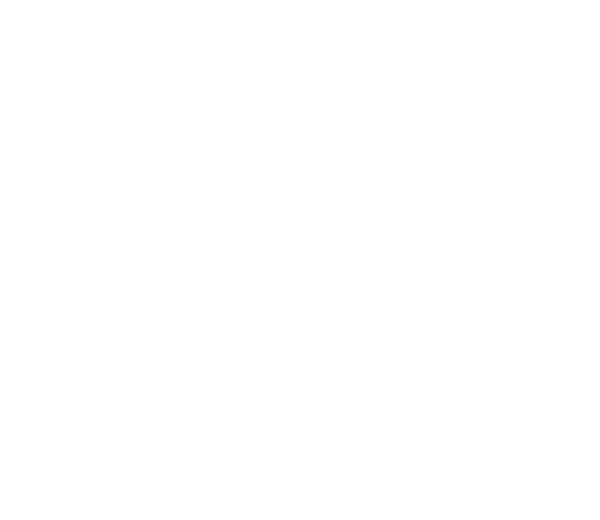 GRACE PLAIN - Image 2