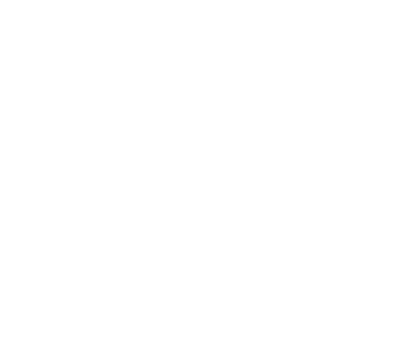 MAESTRO - Image 3