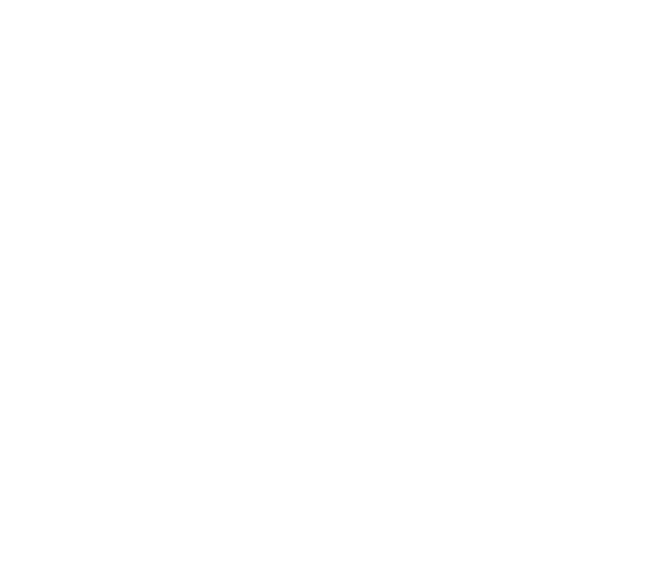 MAESTRO - Image 2