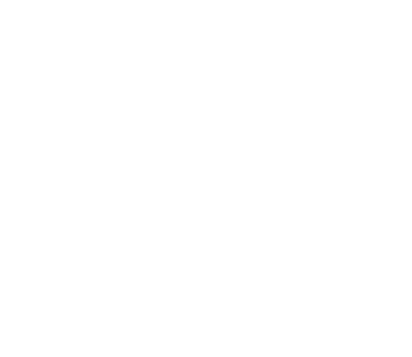 MAXUS - Image 2
