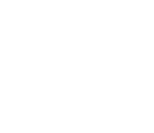 OMNI - Image 4