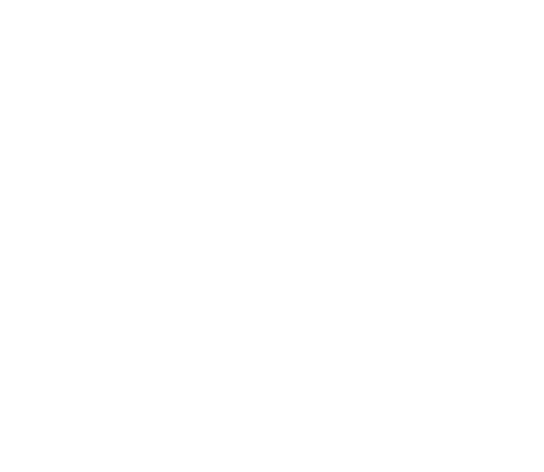 ORNATE - Image 2