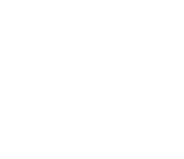 ORRA - Image 4