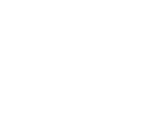 ORRA - Image 3