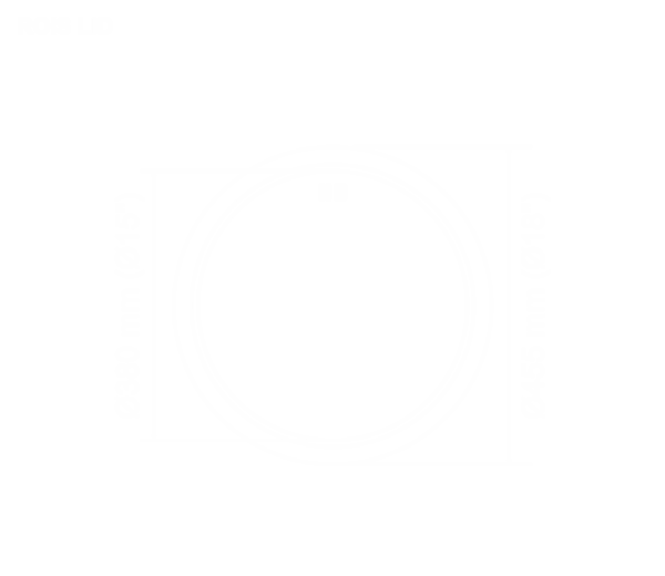 ROIS LID - Image 2