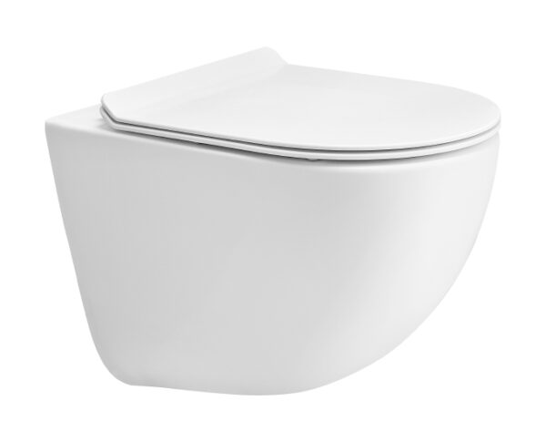 CARNIVAL RIMLESS WITH DUROPLAST SEAT COVER