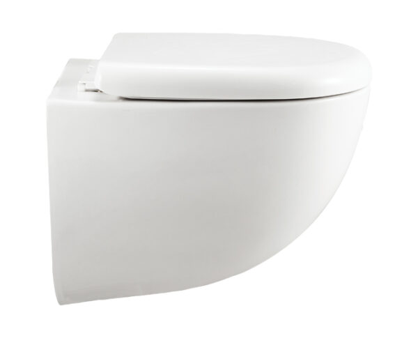 CARNIVAL RIMLESS WITH SOFT CLOSE SEAT COVER - Image 4
