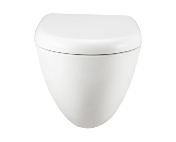 CARNIVAL RIMLESS WITH SOFT CLOSE SEAT COVER - Image 3
