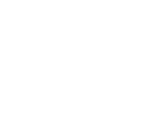 WING LHS - Image 2